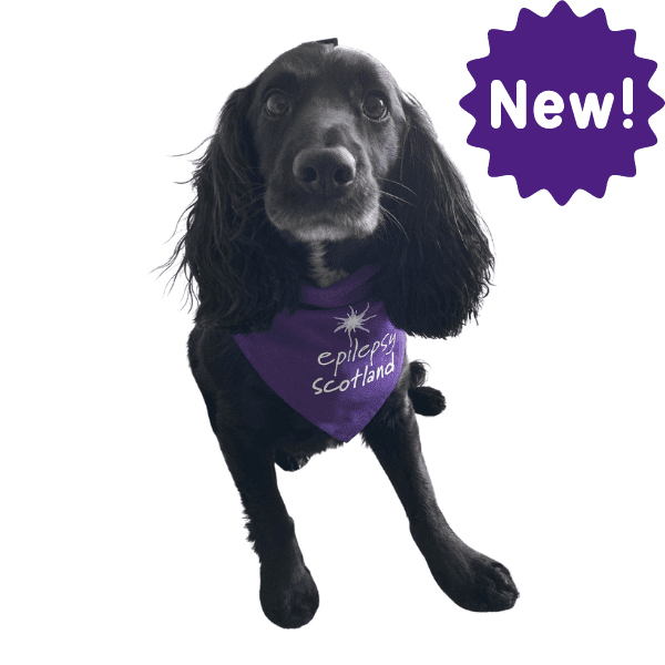 Dog with purple bandana